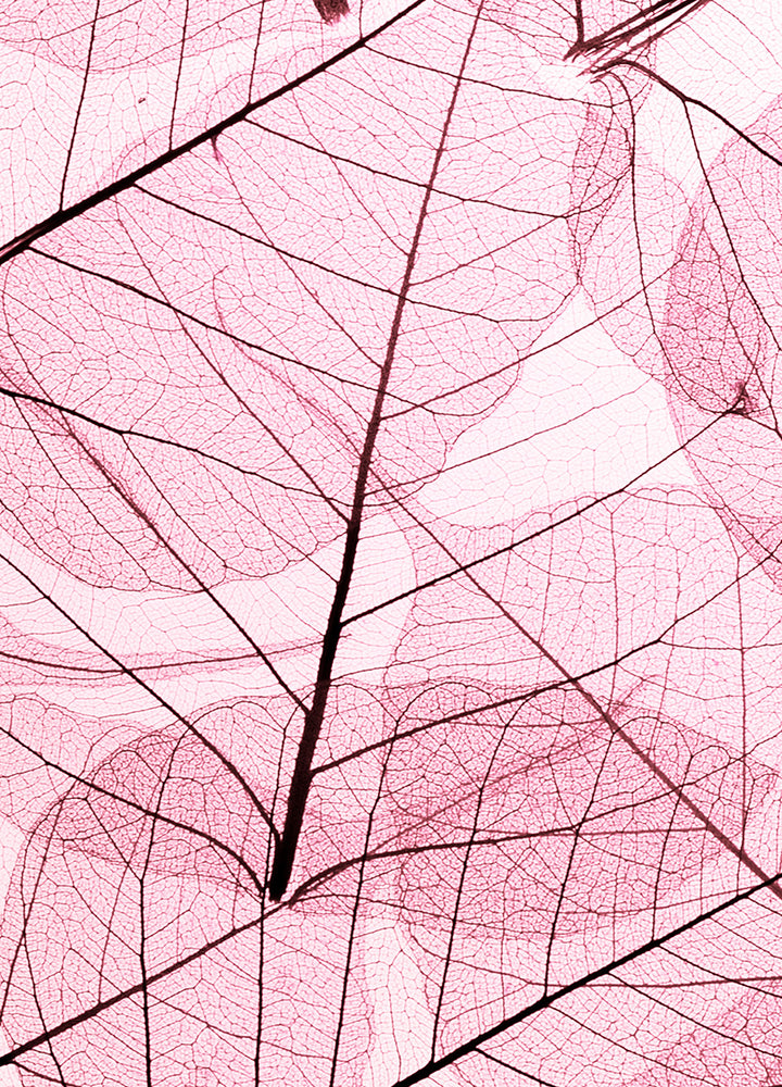 Canvastavla - Leafs