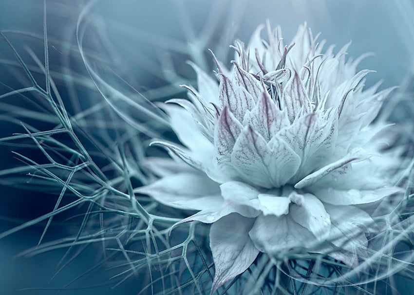 Canvastavla - Lotus
