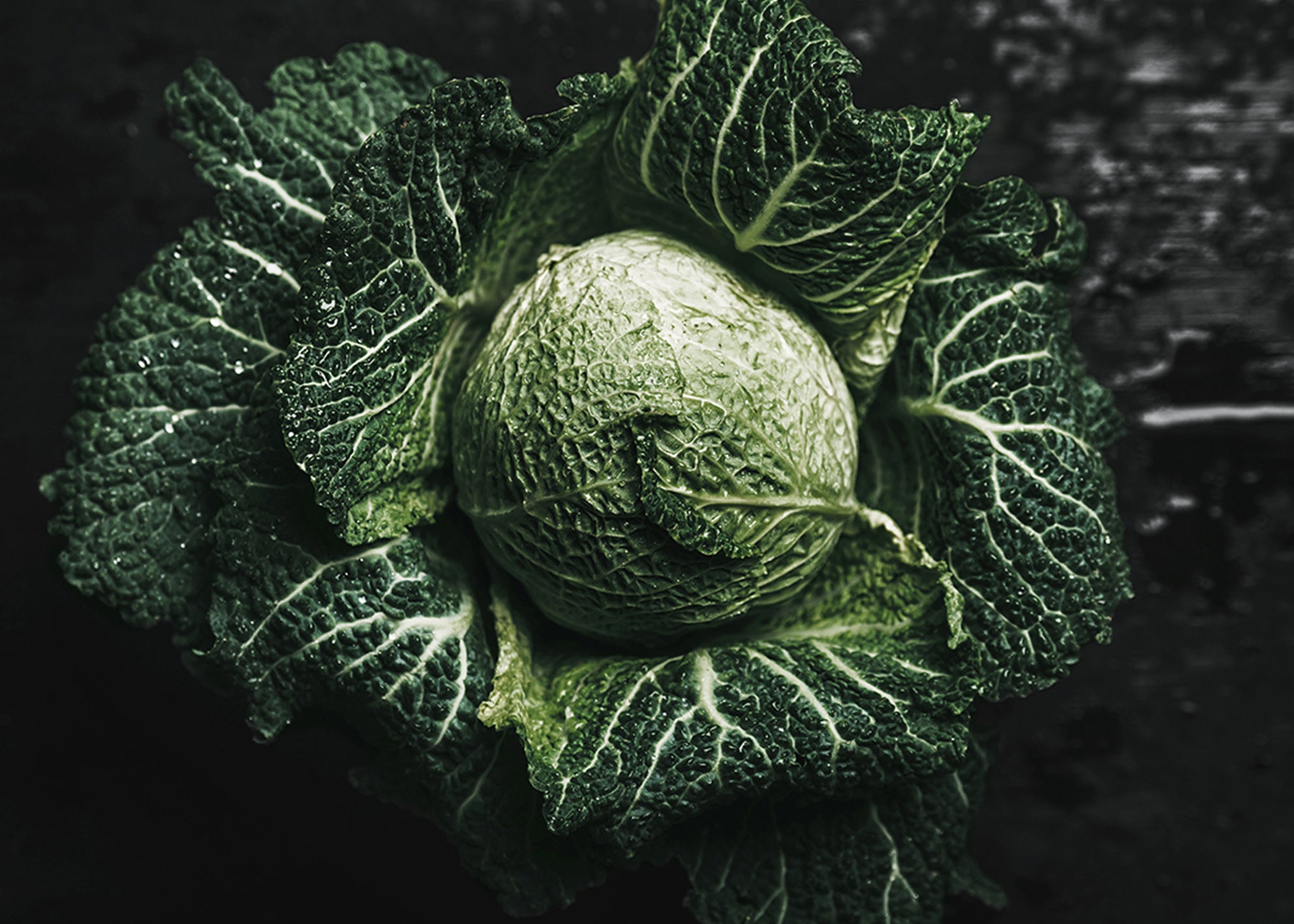 Canvastavla - Green Cabbage