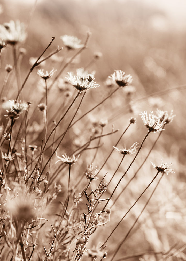 Canvastavla - Fall Flowers