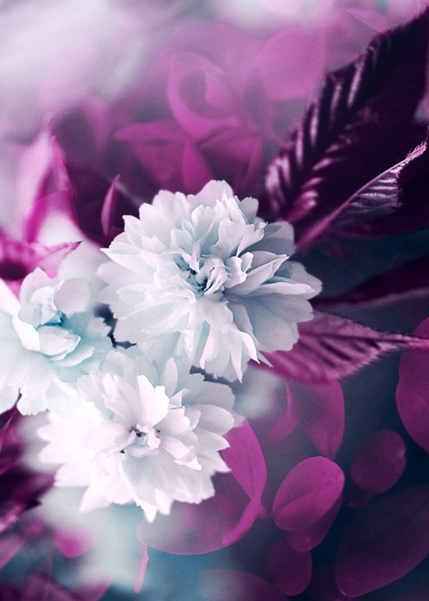 Ljuddämpande tavla - Purple and white