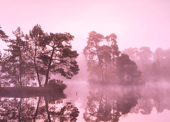 Ljuddämpande tavla - Misty Lake