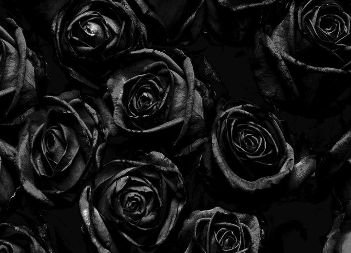 Ljuddämpande tavla - Roses