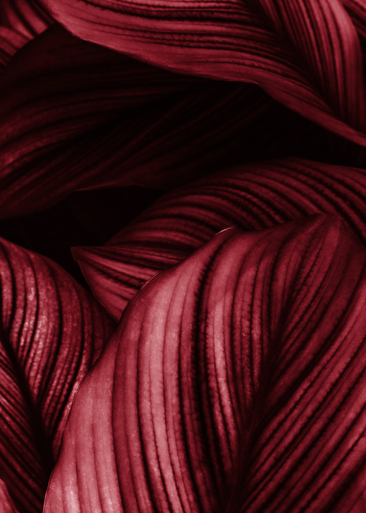 Ljuddämpande tavla - Viva Magenta Leaf