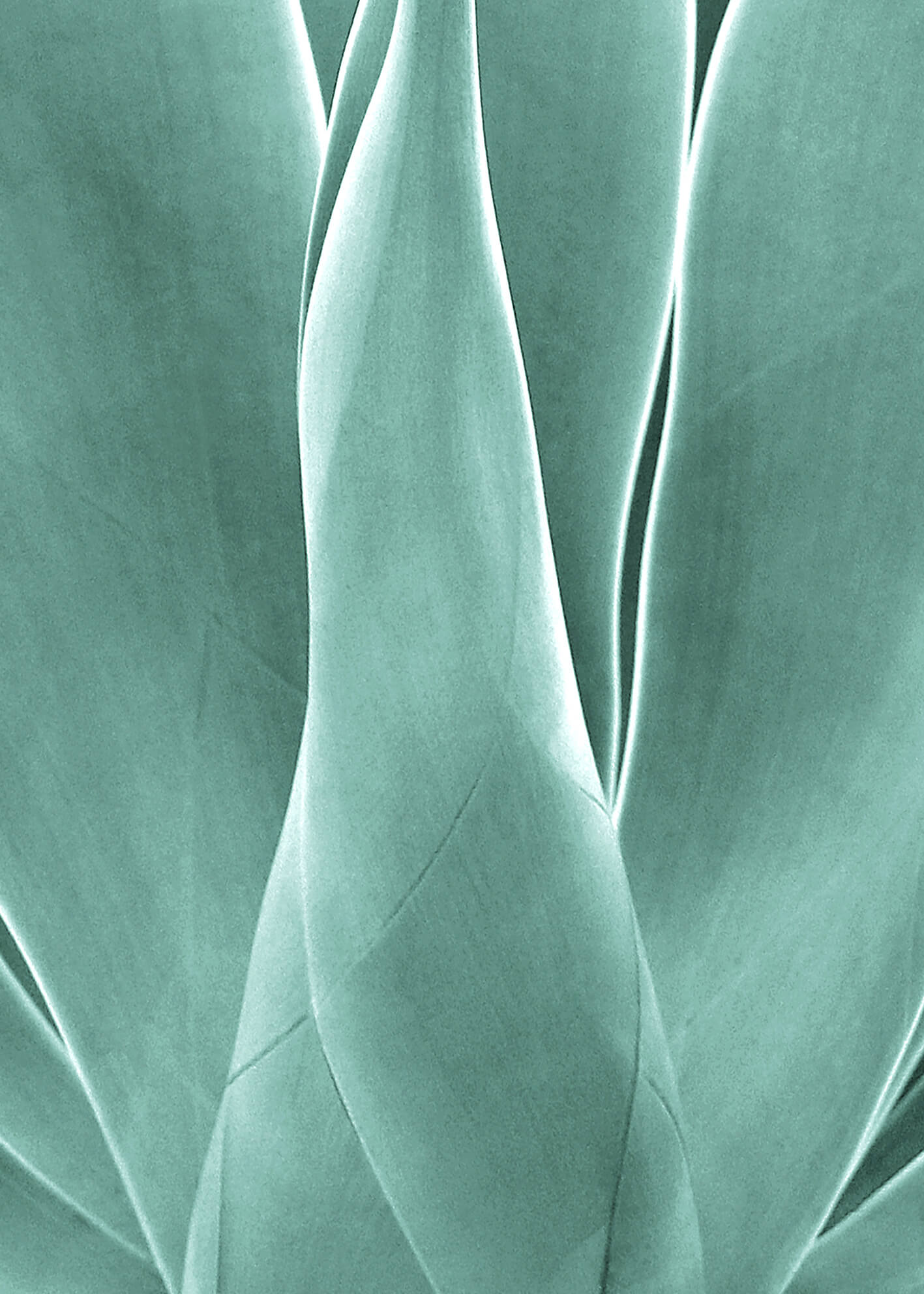 Ljuddämpande tavla - Agave