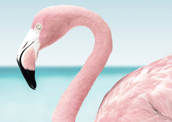 Ljuddämpande tavla - Pink flamingo