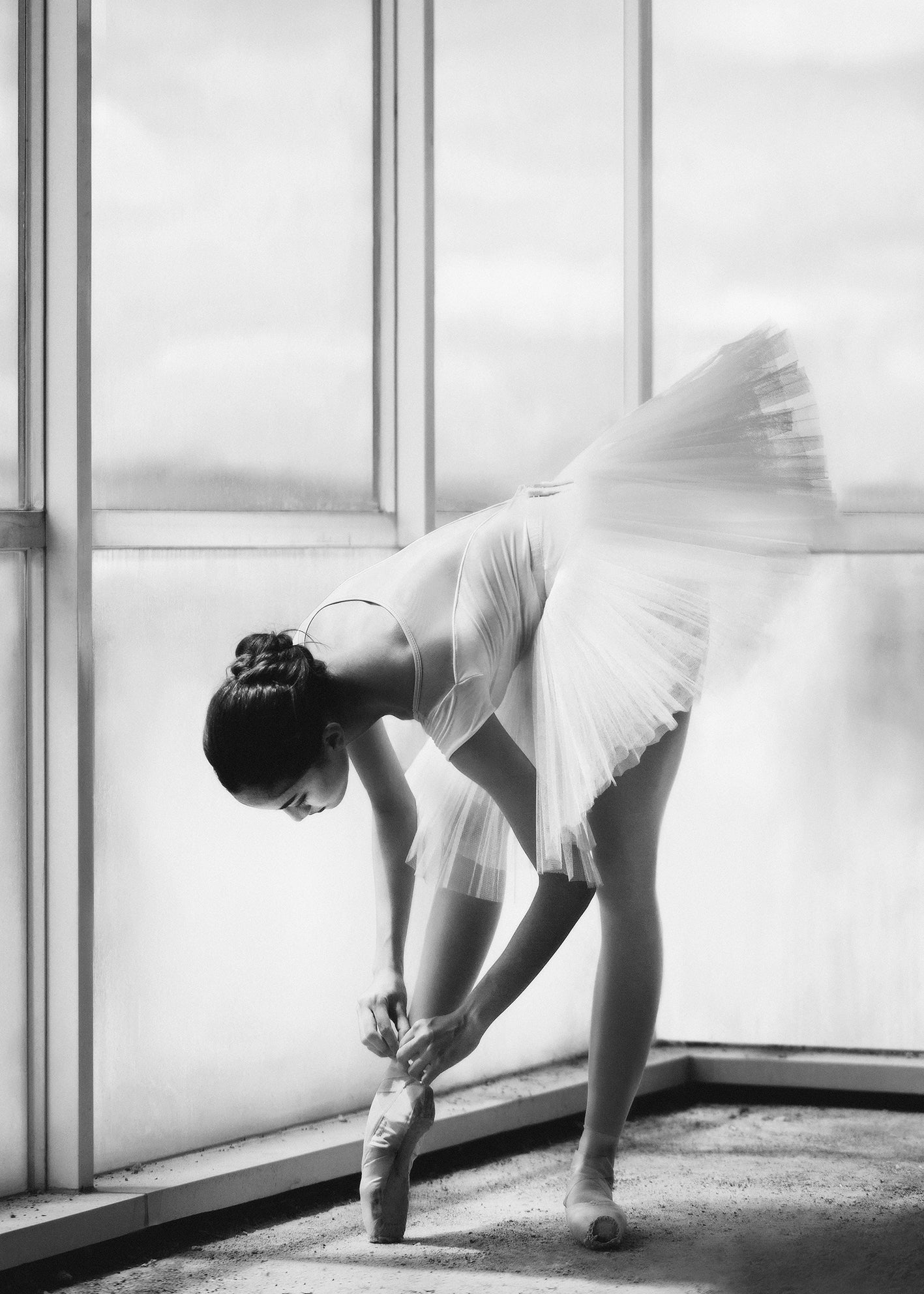 BALLERINA パンフレット Wall Absorber - Bella Ballerina