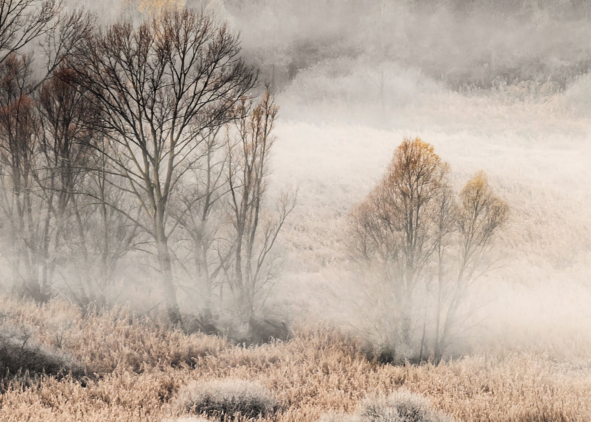 Ljuddämpande tavla - Misty Grove