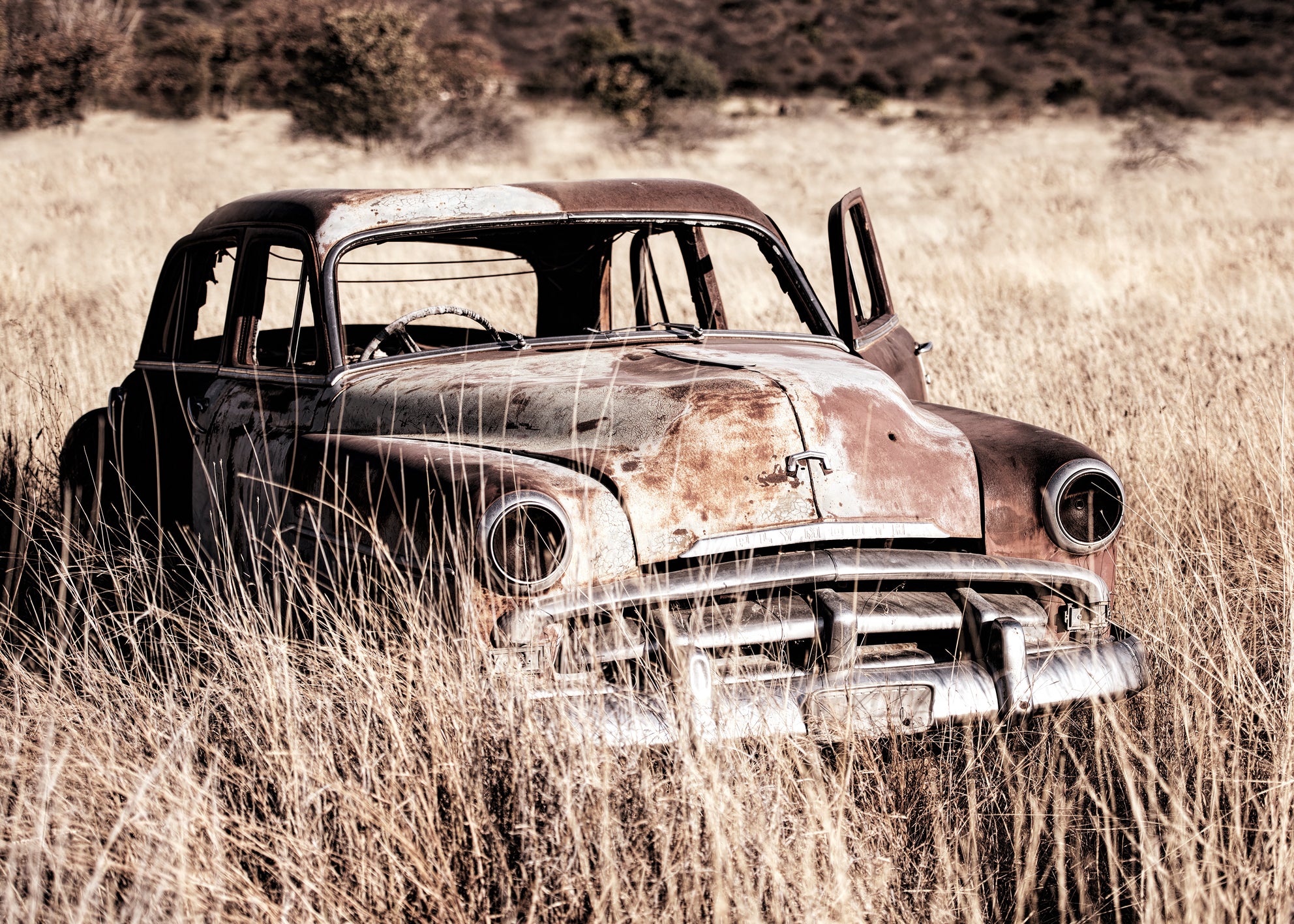 Ljuddämpande tavla - Deserted Drive