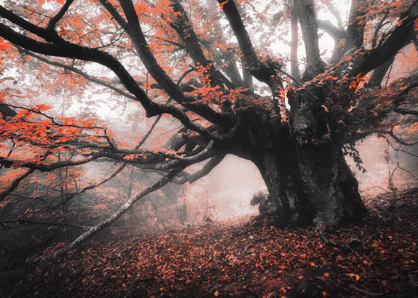 Ljuddämpande tavla - Roots of Autumn