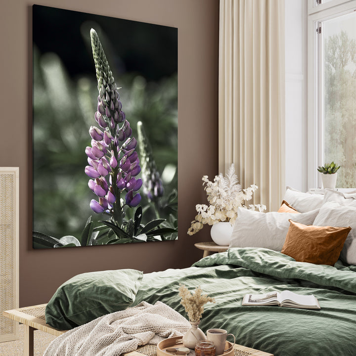 Canvastavla - Lupine