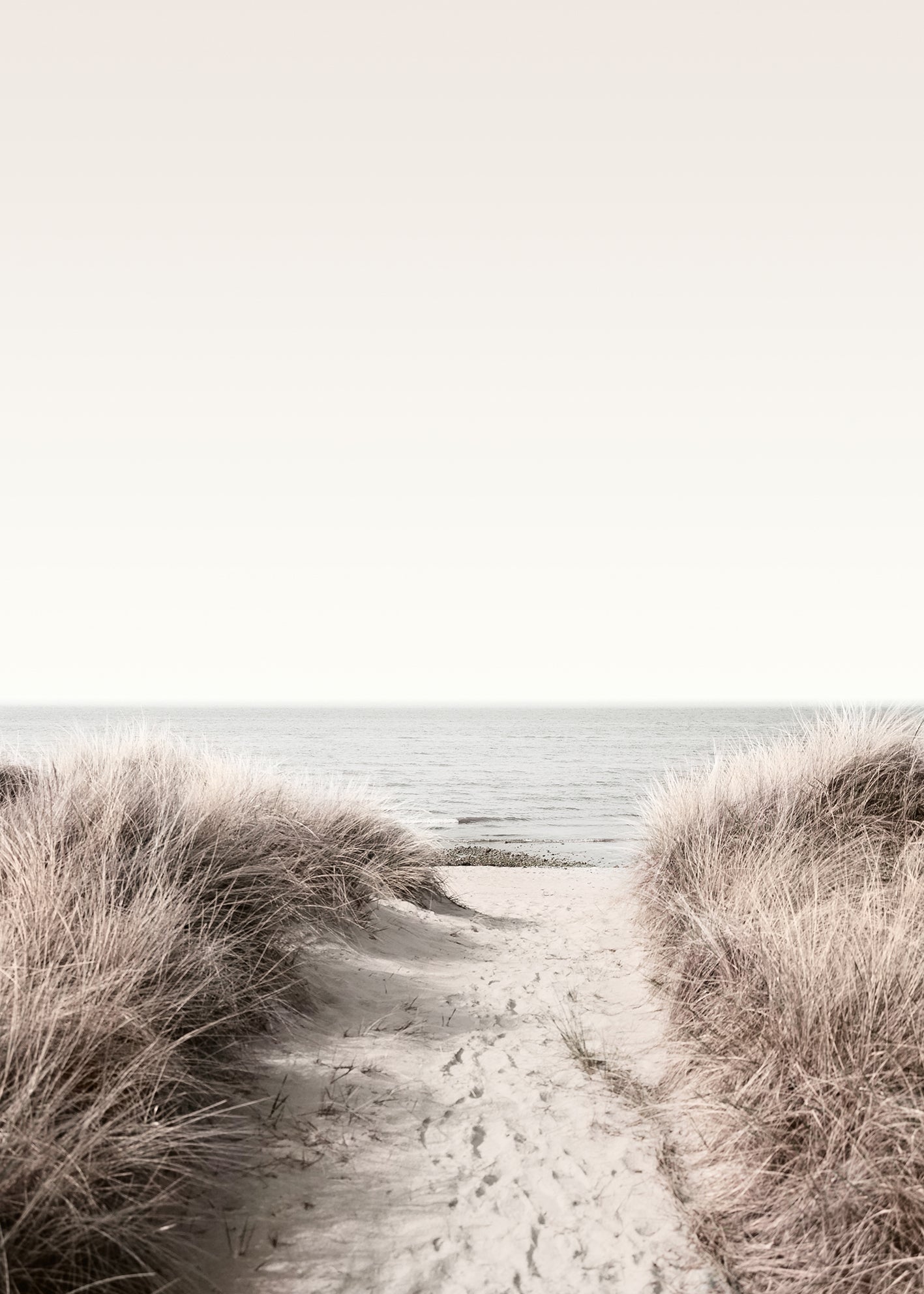 Canvastavla -Ocean Shore