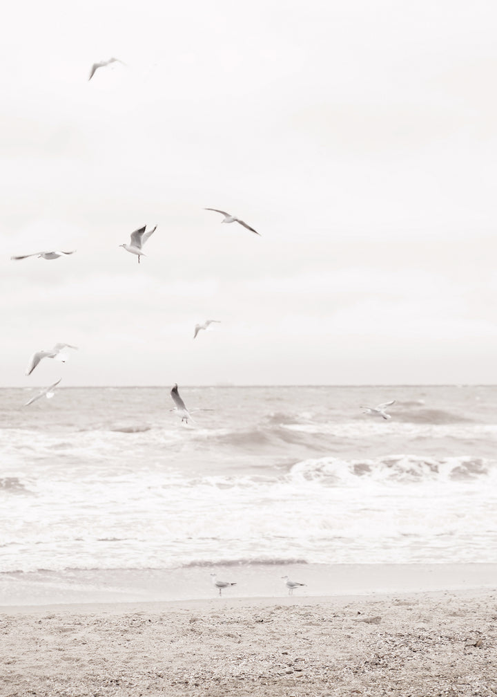 Canvastavla - Soar Over The Sea